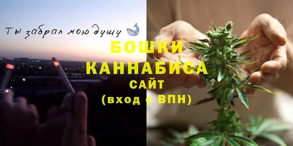 прущие грибы Баксан