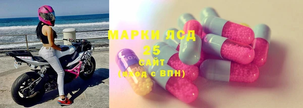 прущие грибы Баксан