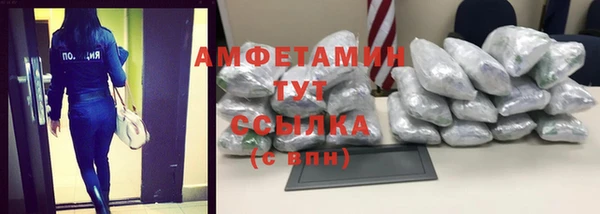прущие грибы Баксан