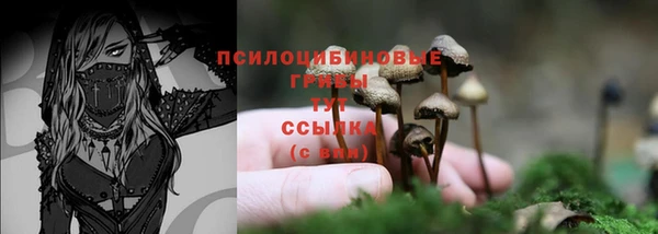 прущие грибы Баксан
