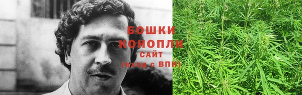 ГАЛЛЮЦИНОГЕННЫЕ ГРИБЫ Балабаново